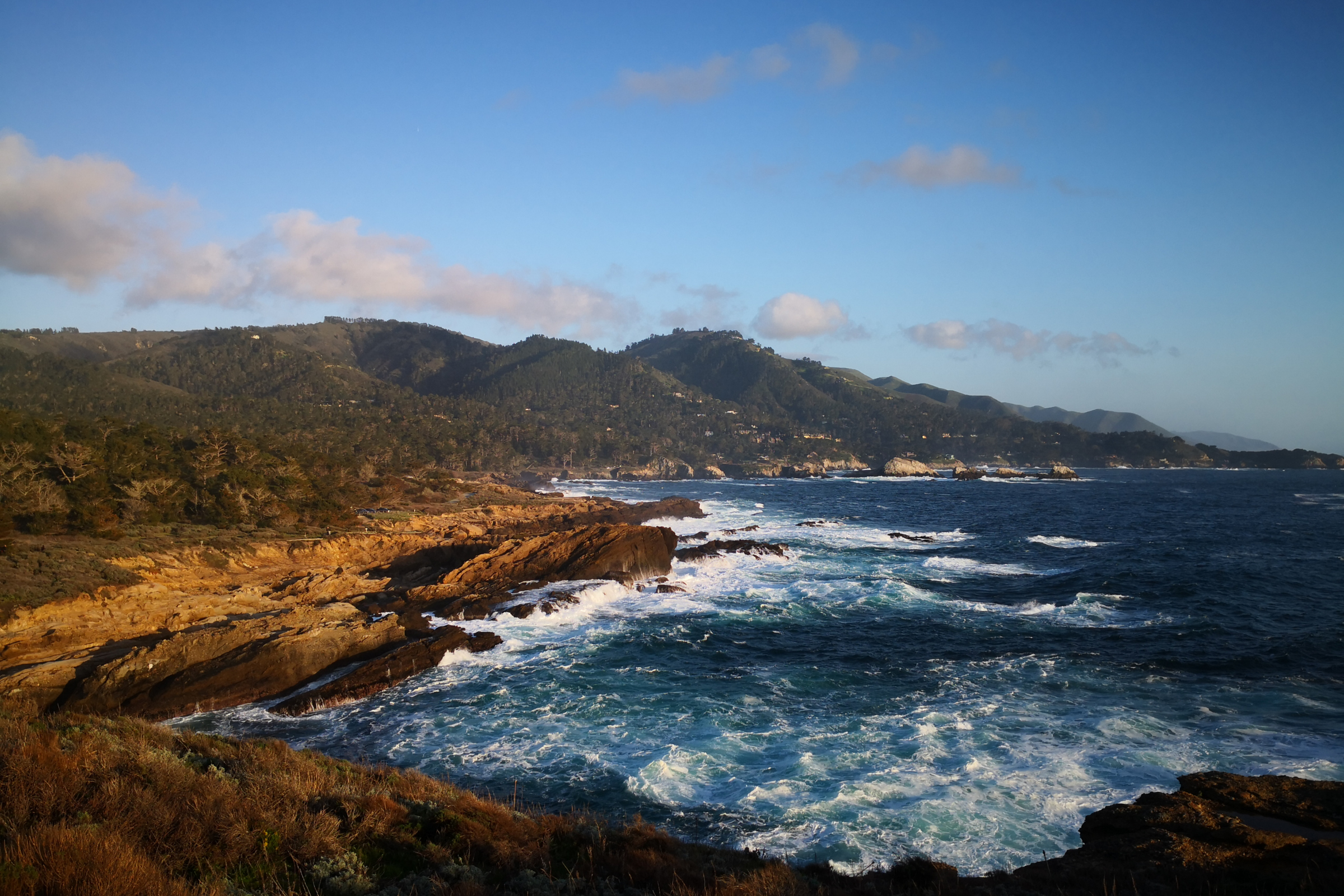 monterey, california (3).webp